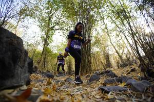 BIB: 
                            <button type="button" onclick="openModal(7239504)" class="btn btn-primary btn-sm float-right btn-popup" data-toggle="modal" data-target=".modal-high-quality">
                        <i class="fas fa-shopping-cart"></i> Add to Cart
                    </button>
                                            <button type="button" onclick="isThisMe(7239504, true)" class="btn btn-success btn-sm float-right btn-popup btn-isme hidden" data-toggle="tooltip" data-placement="bottom" title="นี่คือรูปของคุณใช่ไหม คลิกที่นี่เพื่อเอาเข้าอัลบั้ม">
                        <i class="fas fa-plus"></i> Add to album
                    </button>
                    <button type="button" onclick="isThisMe(7239504, false)" class="btn btn-warning btn-sm float-right btn-popup btn-isnotme hidden">
                        <i class="fas fa-ban"></i> Remove from album
                    </button>