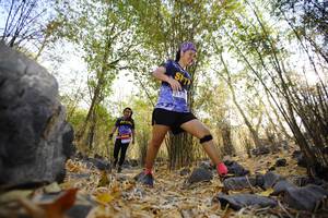 BIB: 
                            <button type="button" onclick="openModal(7239554)" class="btn btn-primary btn-sm float-right btn-popup" data-toggle="modal" data-target=".modal-high-quality">
                        <i class="fas fa-shopping-cart"></i> Add to Cart
                    </button>
                                            <button type="button" onclick="isThisMe(7239554, true)" class="btn btn-success btn-sm float-right btn-popup btn-isme hidden" data-toggle="tooltip" data-placement="bottom" title="นี่คือรูปของคุณใช่ไหม คลิกที่นี่เพื่อเอาเข้าอัลบั้ม">
                        <i class="fas fa-plus"></i> Add to album
                    </button>
                    <button type="button" onclick="isThisMe(7239554, false)" class="btn btn-warning btn-sm float-right btn-popup btn-isnotme hidden">
                        <i class="fas fa-ban"></i> Remove from album
                    </button>