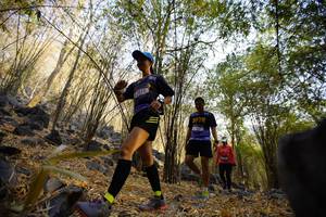 BIB: 
                            <button type="button" onclick="openModal(7191186)" class="btn btn-primary btn-sm float-right btn-popup" data-toggle="modal" data-target=".modal-high-quality">
                        <i class="fas fa-shopping-cart"></i> Add to Cart
                    </button>
                                            <button type="button" onclick="isThisMe(7191186, true)" class="btn btn-success btn-sm float-right btn-popup btn-isme hidden" data-toggle="tooltip" data-placement="bottom" title="นี่คือรูปของคุณใช่ไหม คลิกที่นี่เพื่อเอาเข้าอัลบั้ม">
                        <i class="fas fa-plus"></i> Add to album
                    </button>
                    <button type="button" onclick="isThisMe(7191186, false)" class="btn btn-warning btn-sm float-right btn-popup btn-isnotme hidden">
                        <i class="fas fa-ban"></i> Remove from album
                    </button>