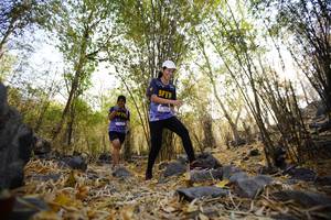 BIB: 
                            <button type="button" onclick="openModal(7239511)" class="btn btn-primary btn-sm float-right btn-popup" data-toggle="modal" data-target=".modal-high-quality">
                        <i class="fas fa-shopping-cart"></i> Add to Cart
                    </button>
                                            <button type="button" onclick="isThisMe(7239511, true)" class="btn btn-success btn-sm float-right btn-popup btn-isme hidden" data-toggle="tooltip" data-placement="bottom" title="นี่คือรูปของคุณใช่ไหม คลิกที่นี่เพื่อเอาเข้าอัลบั้ม">
                        <i class="fas fa-plus"></i> Add to album
                    </button>
                    <button type="button" onclick="isThisMe(7239511, false)" class="btn btn-warning btn-sm float-right btn-popup btn-isnotme hidden">
                        <i class="fas fa-ban"></i> Remove from album
                    </button>