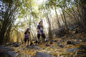 BIB: 
                            <button type="button" onclick="openModal(7191234)" class="btn btn-primary btn-sm float-right btn-popup" data-toggle="modal" data-target=".modal-high-quality">
                        <i class="fas fa-shopping-cart"></i> Add to Cart
                    </button>
                                            <button type="button" onclick="isThisMe(7191234, true)" class="btn btn-success btn-sm float-right btn-popup btn-isme hidden" data-toggle="tooltip" data-placement="bottom" title="นี่คือรูปของคุณใช่ไหม คลิกที่นี่เพื่อเอาเข้าอัลบั้ม">
                        <i class="fas fa-plus"></i> Add to album
                    </button>
                    <button type="button" onclick="isThisMe(7191234, false)" class="btn btn-warning btn-sm float-right btn-popup btn-isnotme hidden">
                        <i class="fas fa-ban"></i> Remove from album
                    </button>