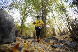 BIB: 
                            <button type="button" onclick="openModal(7189151)" class="btn btn-primary btn-sm float-right btn-popup" data-toggle="modal" data-target=".modal-high-quality">
                        <i class="fas fa-shopping-cart"></i> Add to Cart
                    </button>
                                            <button type="button" onclick="isThisMe(7189151, true)" class="btn btn-success btn-sm float-right btn-popup btn-isme hidden" data-toggle="tooltip" data-placement="bottom" title="นี่คือรูปของคุณใช่ไหม คลิกที่นี่เพื่อเอาเข้าอัลบั้ม">
                        <i class="fas fa-plus"></i> Add to album
                    </button>
                    <button type="button" onclick="isThisMe(7189151, false)" class="btn btn-warning btn-sm float-right btn-popup btn-isnotme hidden">
                        <i class="fas fa-ban"></i> Remove from album
                    </button>