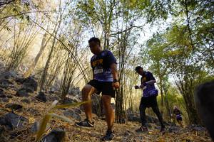 BIB: 
                            <button type="button" onclick="openModal(7189204)" class="btn btn-primary btn-sm float-right btn-popup" data-toggle="modal" data-target=".modal-high-quality">
                        <i class="fas fa-shopping-cart"></i> Add to Cart
                    </button>
                                            <button type="button" onclick="isThisMe(7189204, true)" class="btn btn-success btn-sm float-right btn-popup btn-isme hidden" data-toggle="tooltip" data-placement="bottom" title="นี่คือรูปของคุณใช่ไหม คลิกที่นี่เพื่อเอาเข้าอัลบั้ม">
                        <i class="fas fa-plus"></i> Add to album
                    </button>
                    <button type="button" onclick="isThisMe(7189204, false)" class="btn btn-warning btn-sm float-right btn-popup btn-isnotme hidden">
                        <i class="fas fa-ban"></i> Remove from album
                    </button>