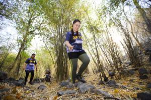 BIB: 
                            <button type="button" onclick="openModal(7190840)" class="btn btn-primary btn-sm float-right btn-popup" data-toggle="modal" data-target=".modal-high-quality">
                        <i class="fas fa-shopping-cart"></i> Add to Cart
                    </button>
                                            <button type="button" onclick="isThisMe(7190840, true)" class="btn btn-success btn-sm float-right btn-popup btn-isme hidden" data-toggle="tooltip" data-placement="bottom" title="นี่คือรูปของคุณใช่ไหม คลิกที่นี่เพื่อเอาเข้าอัลบั้ม">
                        <i class="fas fa-plus"></i> Add to album
                    </button>
                    <button type="button" onclick="isThisMe(7190840, false)" class="btn btn-warning btn-sm float-right btn-popup btn-isnotme hidden">
                        <i class="fas fa-ban"></i> Remove from album
                    </button>