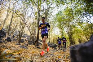 BIB: 
                            <button type="button" onclick="openModal(7241352)" class="btn btn-primary btn-sm float-right btn-popup" data-toggle="modal" data-target=".modal-high-quality">
                        <i class="fas fa-shopping-cart"></i> Add to Cart
                    </button>
                                            <button type="button" onclick="isThisMe(7241352, true)" class="btn btn-success btn-sm float-right btn-popup btn-isme hidden" data-toggle="tooltip" data-placement="bottom" title="นี่คือรูปของคุณใช่ไหม คลิกที่นี่เพื่อเอาเข้าอัลบั้ม">
                        <i class="fas fa-plus"></i> Add to album
                    </button>
                    <button type="button" onclick="isThisMe(7241352, false)" class="btn btn-warning btn-sm float-right btn-popup btn-isnotme hidden">
                        <i class="fas fa-ban"></i> Remove from album
                    </button>