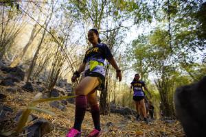 BIB: 
                            <button type="button" onclick="openModal(7189527)" class="btn btn-primary btn-sm float-right btn-popup" data-toggle="modal" data-target=".modal-high-quality">
                        <i class="fas fa-shopping-cart"></i> Add to Cart
                    </button>
                                            <button type="button" onclick="isThisMe(7189527, true)" class="btn btn-success btn-sm float-right btn-popup btn-isme hidden" data-toggle="tooltip" data-placement="bottom" title="นี่คือรูปของคุณใช่ไหม คลิกที่นี่เพื่อเอาเข้าอัลบั้ม">
                        <i class="fas fa-plus"></i> Add to album
                    </button>
                    <button type="button" onclick="isThisMe(7189527, false)" class="btn btn-warning btn-sm float-right btn-popup btn-isnotme hidden">
                        <i class="fas fa-ban"></i> Remove from album
                    </button>