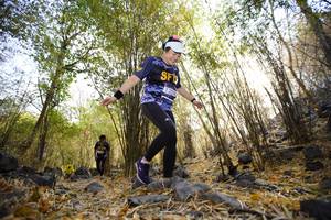 BIB: 
                            <button type="button" onclick="openModal(7190711)" class="btn btn-primary btn-sm float-right btn-popup" data-toggle="modal" data-target=".modal-high-quality">
                        <i class="fas fa-shopping-cart"></i> Add to Cart
                    </button>
                                            <button type="button" onclick="isThisMe(7190711, true)" class="btn btn-success btn-sm float-right btn-popup btn-isme hidden" data-toggle="tooltip" data-placement="bottom" title="นี่คือรูปของคุณใช่ไหม คลิกที่นี่เพื่อเอาเข้าอัลบั้ม">
                        <i class="fas fa-plus"></i> Add to album
                    </button>
                    <button type="button" onclick="isThisMe(7190711, false)" class="btn btn-warning btn-sm float-right btn-popup btn-isnotme hidden">
                        <i class="fas fa-ban"></i> Remove from album
                    </button>