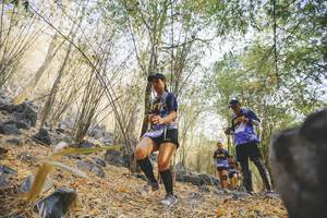 BIB: 
                            <button type="button" onclick="openModal(7239435)" class="btn btn-primary btn-sm float-right btn-popup" data-toggle="modal" data-target=".modal-high-quality">
                        <i class="fas fa-shopping-cart"></i> Add to Cart
                    </button>
                                            <button type="button" onclick="isThisMe(7239435, true)" class="btn btn-success btn-sm float-right btn-popup btn-isme hidden" data-toggle="tooltip" data-placement="bottom" title="นี่คือรูปของคุณใช่ไหม คลิกที่นี่เพื่อเอาเข้าอัลบั้ม">
                        <i class="fas fa-plus"></i> Add to album
                    </button>
                    <button type="button" onclick="isThisMe(7239435, false)" class="btn btn-warning btn-sm float-right btn-popup btn-isnotme hidden">
                        <i class="fas fa-ban"></i> Remove from album
                    </button>