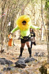 BIB: 
                            <button type="button" onclick="openModal(7194263)" class="btn btn-primary btn-sm float-right btn-popup" data-toggle="modal" data-target=".modal-high-quality">
                        <i class="fas fa-shopping-cart"></i> Add to Cart
                    </button>
                                            <button type="button" onclick="isThisMe(7194263, true)" class="btn btn-success btn-sm float-right btn-popup btn-isme hidden" data-toggle="tooltip" data-placement="bottom" title="นี่คือรูปของคุณใช่ไหม คลิกที่นี่เพื่อเอาเข้าอัลบั้ม">
                        <i class="fas fa-plus"></i> Add to album
                    </button>
                    <button type="button" onclick="isThisMe(7194263, false)" class="btn btn-warning btn-sm float-right btn-popup btn-isnotme hidden">
                        <i class="fas fa-ban"></i> Remove from album
                    </button>