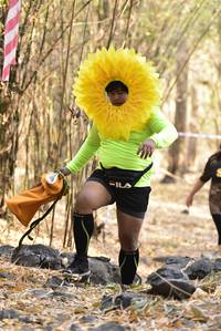 BIB: 
                            <button type="button" onclick="openModal(7194154)" class="btn btn-primary btn-sm float-right btn-popup" data-toggle="modal" data-target=".modal-high-quality">
                        <i class="fas fa-shopping-cart"></i> Add to Cart
                    </button>
                                            <button type="button" onclick="isThisMe(7194154, true)" class="btn btn-success btn-sm float-right btn-popup btn-isme hidden" data-toggle="tooltip" data-placement="bottom" title="นี่คือรูปของคุณใช่ไหม คลิกที่นี่เพื่อเอาเข้าอัลบั้ม">
                        <i class="fas fa-plus"></i> Add to album
                    </button>
                    <button type="button" onclick="isThisMe(7194154, false)" class="btn btn-warning btn-sm float-right btn-popup btn-isnotme hidden">
                        <i class="fas fa-ban"></i> Remove from album
                    </button>