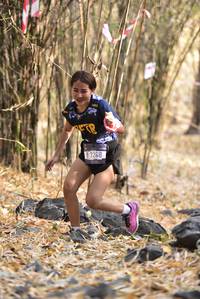 BIB: 7268
                            <button type="button" onclick="openModal(7185754)" class="btn btn-primary btn-sm float-right btn-popup" data-toggle="modal" data-target=".modal-high-quality">
                        <i class="fas fa-shopping-cart"></i> Add to Cart
                    </button>
                                            <button type="button" onclick="isThisMe(7185754, true)" class="btn btn-success btn-sm float-right btn-popup btn-isme hidden" data-toggle="tooltip" data-placement="bottom" title="นี่คือรูปของคุณใช่ไหม คลิกที่นี่เพื่อเอาเข้าอัลบั้ม">
                        <i class="fas fa-plus"></i> Add to album
                    </button>
                    <button type="button" onclick="isThisMe(7185754, false)" class="btn btn-warning btn-sm float-right btn-popup btn-isnotme hidden">
                        <i class="fas fa-ban"></i> Remove from album
                    </button>