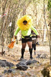 BIB: 
                            <button type="button" onclick="openModal(7197679)" class="btn btn-primary btn-sm float-right btn-popup" data-toggle="modal" data-target=".modal-high-quality">
                        <i class="fas fa-shopping-cart"></i> Add to Cart
                    </button>
                                            <button type="button" onclick="isThisMe(7197679, true)" class="btn btn-success btn-sm float-right btn-popup btn-isme hidden" data-toggle="tooltip" data-placement="bottom" title="นี่คือรูปของคุณใช่ไหม คลิกที่นี่เพื่อเอาเข้าอัลบั้ม">
                        <i class="fas fa-plus"></i> Add to album
                    </button>
                    <button type="button" onclick="isThisMe(7197679, false)" class="btn btn-warning btn-sm float-right btn-popup btn-isnotme hidden">
                        <i class="fas fa-ban"></i> Remove from album
                    </button>