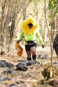 BIB: 
                            <button type="button" onclick="openModal(7194014)" class="btn btn-primary btn-sm float-right btn-popup" data-toggle="modal" data-target=".modal-high-quality">
                        <i class="fas fa-shopping-cart"></i> Add to Cart
                    </button>
                                            <button type="button" onclick="isThisMe(7194014, true)" class="btn btn-success btn-sm float-right btn-popup btn-isme hidden" data-toggle="tooltip" data-placement="bottom" title="นี่คือรูปของคุณใช่ไหม คลิกที่นี่เพื่อเอาเข้าอัลบั้ม">
                        <i class="fas fa-plus"></i> Add to album
                    </button>
                    <button type="button" onclick="isThisMe(7194014, false)" class="btn btn-warning btn-sm float-right btn-popup btn-isnotme hidden">
                        <i class="fas fa-ban"></i> Remove from album
                    </button>