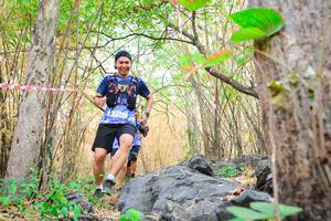 BIB: 
                            <button type="button" onclick="openModal(7183879)" class="btn btn-primary btn-sm float-right btn-popup" data-toggle="modal" data-target=".modal-high-quality">
                        <i class="fas fa-shopping-cart"></i> Add to Cart
                    </button>
                                            <button type="button" onclick="isThisMe(7183879, true)" class="btn btn-success btn-sm float-right btn-popup btn-isme hidden" data-toggle="tooltip" data-placement="bottom" title="นี่คือรูปของคุณใช่ไหม คลิกที่นี่เพื่อเอาเข้าอัลบั้ม">
                        <i class="fas fa-plus"></i> Add to album
                    </button>
                    <button type="button" onclick="isThisMe(7183879, false)" class="btn btn-warning btn-sm float-right btn-popup btn-isnotme hidden">
                        <i class="fas fa-ban"></i> Remove from album
                    </button>