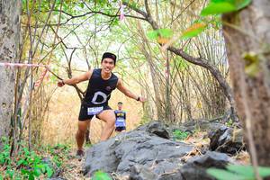 BIB: 
                            <button type="button" onclick="openModal(7185734)" class="btn btn-primary btn-sm float-right btn-popup" data-toggle="modal" data-target=".modal-high-quality">
                        <i class="fas fa-shopping-cart"></i> Add to Cart
                    </button>
                                            <button type="button" onclick="isThisMe(7185734, true)" class="btn btn-success btn-sm float-right btn-popup btn-isme hidden" data-toggle="tooltip" data-placement="bottom" title="นี่คือรูปของคุณใช่ไหม คลิกที่นี่เพื่อเอาเข้าอัลบั้ม">
                        <i class="fas fa-plus"></i> Add to album
                    </button>
                    <button type="button" onclick="isThisMe(7185734, false)" class="btn btn-warning btn-sm float-right btn-popup btn-isnotme hidden">
                        <i class="fas fa-ban"></i> Remove from album
                    </button>