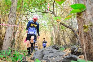 BIB: 
                            <button type="button" onclick="openModal(7184393)" class="btn btn-primary btn-sm float-right btn-popup" data-toggle="modal" data-target=".modal-high-quality">
                        <i class="fas fa-shopping-cart"></i> Add to Cart
                    </button>
                                            <button type="button" onclick="isThisMe(7184393, true)" class="btn btn-success btn-sm float-right btn-popup btn-isme hidden" data-toggle="tooltip" data-placement="bottom" title="นี่คือรูปของคุณใช่ไหม คลิกที่นี่เพื่อเอาเข้าอัลบั้ม">
                        <i class="fas fa-plus"></i> Add to album
                    </button>
                    <button type="button" onclick="isThisMe(7184393, false)" class="btn btn-warning btn-sm float-right btn-popup btn-isnotme hidden">
                        <i class="fas fa-ban"></i> Remove from album
                    </button>