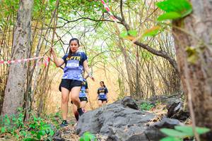 BIB: 
                            <button type="button" onclick="openModal(7186036)" class="btn btn-primary btn-sm float-right btn-popup" data-toggle="modal" data-target=".modal-high-quality">
                        <i class="fas fa-shopping-cart"></i> Add to Cart
                    </button>
                                            <button type="button" onclick="isThisMe(7186036, true)" class="btn btn-success btn-sm float-right btn-popup btn-isme hidden" data-toggle="tooltip" data-placement="bottom" title="นี่คือรูปของคุณใช่ไหม คลิกที่นี่เพื่อเอาเข้าอัลบั้ม">
                        <i class="fas fa-plus"></i> Add to album
                    </button>
                    <button type="button" onclick="isThisMe(7186036, false)" class="btn btn-warning btn-sm float-right btn-popup btn-isnotme hidden">
                        <i class="fas fa-ban"></i> Remove from album
                    </button>