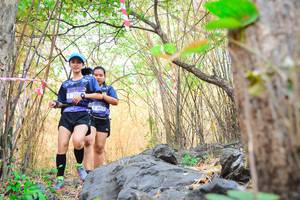 BIB: 
                            <button type="button" onclick="openModal(7185983)" class="btn btn-primary btn-sm float-right btn-popup" data-toggle="modal" data-target=".modal-high-quality">
                        <i class="fas fa-shopping-cart"></i> Add to Cart
                    </button>
                                            <button type="button" onclick="isThisMe(7185983, true)" class="btn btn-success btn-sm float-right btn-popup btn-isme hidden" data-toggle="tooltip" data-placement="bottom" title="นี่คือรูปของคุณใช่ไหม คลิกที่นี่เพื่อเอาเข้าอัลบั้ม">
                        <i class="fas fa-plus"></i> Add to album
                    </button>
                    <button type="button" onclick="isThisMe(7185983, false)" class="btn btn-warning btn-sm float-right btn-popup btn-isnotme hidden">
                        <i class="fas fa-ban"></i> Remove from album
                    </button>