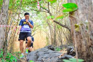 BIB: 
                            <button type="button" onclick="openModal(7185980)" class="btn btn-primary btn-sm float-right btn-popup" data-toggle="modal" data-target=".modal-high-quality">
                        <i class="fas fa-shopping-cart"></i> Add to Cart
                    </button>
                                            <button type="button" onclick="isThisMe(7185980, true)" class="btn btn-success btn-sm float-right btn-popup btn-isme hidden" data-toggle="tooltip" data-placement="bottom" title="นี่คือรูปของคุณใช่ไหม คลิกที่นี่เพื่อเอาเข้าอัลบั้ม">
                        <i class="fas fa-plus"></i> Add to album
                    </button>
                    <button type="button" onclick="isThisMe(7185980, false)" class="btn btn-warning btn-sm float-right btn-popup btn-isnotme hidden">
                        <i class="fas fa-ban"></i> Remove from album
                    </button>