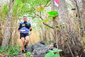 BIB: 
                            <button type="button" onclick="openModal(7183433)" class="btn btn-primary btn-sm float-right btn-popup" data-toggle="modal" data-target=".modal-high-quality">
                        <i class="fas fa-shopping-cart"></i> Add to Cart
                    </button>
                                            <button type="button" onclick="isThisMe(7183433, true)" class="btn btn-success btn-sm float-right btn-popup btn-isme hidden" data-toggle="tooltip" data-placement="bottom" title="นี่คือรูปของคุณใช่ไหม คลิกที่นี่เพื่อเอาเข้าอัลบั้ม">
                        <i class="fas fa-plus"></i> Add to album
                    </button>
                    <button type="button" onclick="isThisMe(7183433, false)" class="btn btn-warning btn-sm float-right btn-popup btn-isnotme hidden">
                        <i class="fas fa-ban"></i> Remove from album
                    </button>