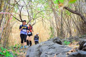 BIB: 
                            <button type="button" onclick="openModal(7186085)" class="btn btn-primary btn-sm float-right btn-popup" data-toggle="modal" data-target=".modal-high-quality">
                        <i class="fas fa-shopping-cart"></i> Add to Cart
                    </button>
                                            <button type="button" onclick="isThisMe(7186085, true)" class="btn btn-success btn-sm float-right btn-popup btn-isme hidden" data-toggle="tooltip" data-placement="bottom" title="นี่คือรูปของคุณใช่ไหม คลิกที่นี่เพื่อเอาเข้าอัลบั้ม">
                        <i class="fas fa-plus"></i> Add to album
                    </button>
                    <button type="button" onclick="isThisMe(7186085, false)" class="btn btn-warning btn-sm float-right btn-popup btn-isnotme hidden">
                        <i class="fas fa-ban"></i> Remove from album
                    </button>