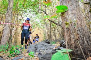 BIB: 
                            <button type="button" onclick="openModal(7183336)" class="btn btn-primary btn-sm float-right btn-popup" data-toggle="modal" data-target=".modal-high-quality">
                        <i class="fas fa-shopping-cart"></i> Add to Cart
                    </button>
                                            <button type="button" onclick="isThisMe(7183336, true)" class="btn btn-success btn-sm float-right btn-popup btn-isme hidden" data-toggle="tooltip" data-placement="bottom" title="นี่คือรูปของคุณใช่ไหม คลิกที่นี่เพื่อเอาเข้าอัลบั้ม">
                        <i class="fas fa-plus"></i> Add to album
                    </button>
                    <button type="button" onclick="isThisMe(7183336, false)" class="btn btn-warning btn-sm float-right btn-popup btn-isnotme hidden">
                        <i class="fas fa-ban"></i> Remove from album
                    </button>