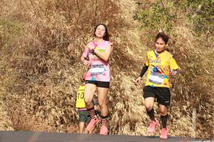 BIB: 
                            <button type="button" onclick="openModal(7177220)" class="btn btn-primary btn-sm float-right btn-popup" data-toggle="modal" data-target=".modal-high-quality">
                        <i class="fas fa-shopping-cart"></i> Add to Cart
                    </button>
                                            <button type="button" onclick="isThisMe(7177220, true)" class="btn btn-success btn-sm float-right btn-popup btn-isme hidden" data-toggle="tooltip" data-placement="bottom" title="นี่คือรูปของคุณใช่ไหม คลิกที่นี่เพื่อเอาเข้าอัลบั้ม">
                        <i class="fas fa-plus"></i> Add to album
                    </button>
                    <button type="button" onclick="isThisMe(7177220, false)" class="btn btn-warning btn-sm float-right btn-popup btn-isnotme hidden">
                        <i class="fas fa-ban"></i> Remove from album
                    </button>