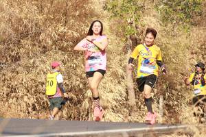 BIB: 
                            <button type="button" onclick="openModal(7177139)" class="btn btn-primary btn-sm float-right btn-popup" data-toggle="modal" data-target=".modal-high-quality">
                        <i class="fas fa-shopping-cart"></i> Add to Cart
                    </button>
                                            <button type="button" onclick="isThisMe(7177139, true)" class="btn btn-success btn-sm float-right btn-popup btn-isme hidden" data-toggle="tooltip" data-placement="bottom" title="นี่คือรูปของคุณใช่ไหม คลิกที่นี่เพื่อเอาเข้าอัลบั้ม">
                        <i class="fas fa-plus"></i> Add to album
                    </button>
                    <button type="button" onclick="isThisMe(7177139, false)" class="btn btn-warning btn-sm float-right btn-popup btn-isnotme hidden">
                        <i class="fas fa-ban"></i> Remove from album
                    </button>