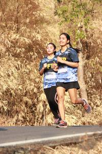 BIB: 
                            <button type="button" onclick="openModal(7179359)" class="btn btn-primary btn-sm float-right btn-popup" data-toggle="modal" data-target=".modal-high-quality">
                        <i class="fas fa-shopping-cart"></i> Add to Cart
                    </button>
                                            <button type="button" onclick="isThisMe(7179359, true)" class="btn btn-success btn-sm float-right btn-popup btn-isme hidden" data-toggle="tooltip" data-placement="bottom" title="นี่คือรูปของคุณใช่ไหม คลิกที่นี่เพื่อเอาเข้าอัลบั้ม">
                        <i class="fas fa-plus"></i> Add to album
                    </button>
                    <button type="button" onclick="isThisMe(7179359, false)" class="btn btn-warning btn-sm float-right btn-popup btn-isnotme hidden">
                        <i class="fas fa-ban"></i> Remove from album
                    </button>