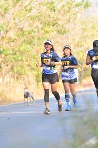 BIB: 7012
                            <button type="button" onclick="openModal(7195512)" class="btn btn-primary btn-sm float-right btn-popup" data-toggle="modal" data-target=".modal-high-quality">
                        <i class="fas fa-shopping-cart"></i> Add to Cart
                    </button>
                                            <button type="button" onclick="isThisMe(7195512, true)" class="btn btn-success btn-sm float-right btn-popup btn-isme hidden" data-toggle="tooltip" data-placement="bottom" title="นี่คือรูปของคุณใช่ไหม คลิกที่นี่เพื่อเอาเข้าอัลบั้ม">
                        <i class="fas fa-plus"></i> Add to album
                    </button>
                    <button type="button" onclick="isThisMe(7195512, false)" class="btn btn-warning btn-sm float-right btn-popup btn-isnotme hidden">
                        <i class="fas fa-ban"></i> Remove from album
                    </button>