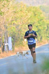 BIB: 
                            <button type="button" onclick="openModal(7172195)" class="btn btn-primary btn-sm float-right btn-popup" data-toggle="modal" data-target=".modal-high-quality">
                        <i class="fas fa-shopping-cart"></i> Add to Cart
                    </button>
                                            <button type="button" onclick="isThisMe(7172195, true)" class="btn btn-success btn-sm float-right btn-popup btn-isme hidden" data-toggle="tooltip" data-placement="bottom" title="นี่คือรูปของคุณใช่ไหม คลิกที่นี่เพื่อเอาเข้าอัลบั้ม">
                        <i class="fas fa-plus"></i> Add to album
                    </button>
                    <button type="button" onclick="isThisMe(7172195, false)" class="btn btn-warning btn-sm float-right btn-popup btn-isnotme hidden">
                        <i class="fas fa-ban"></i> Remove from album
                    </button>