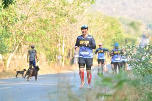 BIB: 
                            <button type="button" onclick="openModal(7195867)" class="btn btn-primary btn-sm float-right btn-popup" data-toggle="modal" data-target=".modal-high-quality">
                        <i class="fas fa-shopping-cart"></i> Add to Cart
                    </button>
                                            <button type="button" onclick="isThisMe(7195867, true)" class="btn btn-success btn-sm float-right btn-popup btn-isme hidden" data-toggle="tooltip" data-placement="bottom" title="นี่คือรูปของคุณใช่ไหม คลิกที่นี่เพื่อเอาเข้าอัลบั้ม">
                        <i class="fas fa-plus"></i> Add to album
                    </button>
                    <button type="button" onclick="isThisMe(7195867, false)" class="btn btn-warning btn-sm float-right btn-popup btn-isnotme hidden">
                        <i class="fas fa-ban"></i> Remove from album
                    </button>