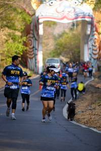 BIB: 
                            <button type="button" onclick="openModal(7256820)" class="btn btn-primary btn-sm float-right btn-popup" data-toggle="modal" data-target=".modal-high-quality">
                        <i class="fas fa-shopping-cart"></i> Add to Cart
                    </button>
                                            <button type="button" onclick="isThisMe(7256820, true)" class="btn btn-success btn-sm float-right btn-popup btn-isme hidden" data-toggle="tooltip" data-placement="bottom" title="นี่คือรูปของคุณใช่ไหม คลิกที่นี่เพื่อเอาเข้าอัลบั้ม">
                        <i class="fas fa-plus"></i> Add to album
                    </button>
                    <button type="button" onclick="isThisMe(7256820, false)" class="btn btn-warning btn-sm float-right btn-popup btn-isnotme hidden">
                        <i class="fas fa-ban"></i> Remove from album
                    </button>