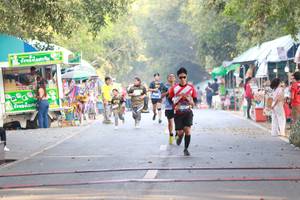 BIB: 
                            <button type="button" onclick="openModal(7226178)" class="btn btn-primary btn-sm float-right btn-popup" data-toggle="modal" data-target=".modal-high-quality">
                        <i class="fas fa-shopping-cart"></i> Add to Cart
                    </button>
                                            <button type="button" onclick="isThisMe(7226178, true)" class="btn btn-success btn-sm float-right btn-popup btn-isme hidden" data-toggle="tooltip" data-placement="bottom" title="นี่คือรูปของคุณใช่ไหม คลิกที่นี่เพื่อเอาเข้าอัลบั้ม">
                        <i class="fas fa-plus"></i> Add to album
                    </button>
                    <button type="button" onclick="isThisMe(7226178, false)" class="btn btn-warning btn-sm float-right btn-popup btn-isnotme hidden">
                        <i class="fas fa-ban"></i> Remove from album
                    </button>