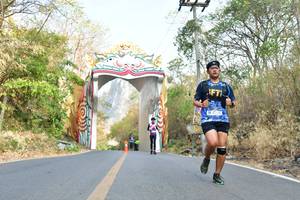 BIB: 
                            <button type="button" onclick="openModal(7208960)" class="btn btn-primary btn-sm float-right btn-popup" data-toggle="modal" data-target=".modal-high-quality">
                        <i class="fas fa-shopping-cart"></i> Add to Cart
                    </button>
                                            <button type="button" onclick="isThisMe(7208960, true)" class="btn btn-success btn-sm float-right btn-popup btn-isme hidden" data-toggle="tooltip" data-placement="bottom" title="นี่คือรูปของคุณใช่ไหม คลิกที่นี่เพื่อเอาเข้าอัลบั้ม">
                        <i class="fas fa-plus"></i> Add to album
                    </button>
                    <button type="button" onclick="isThisMe(7208960, false)" class="btn btn-warning btn-sm float-right btn-popup btn-isnotme hidden">
                        <i class="fas fa-ban"></i> Remove from album
                    </button>