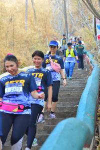 BIB: 7329
                            <button type="button" onclick="openModal(7218179)" class="btn btn-primary btn-sm float-right btn-popup" data-toggle="modal" data-target=".modal-high-quality">
                        <i class="fas fa-shopping-cart"></i> Add to Cart
                    </button>
                                            <button type="button" onclick="isThisMe(7218179, true)" class="btn btn-success btn-sm float-right btn-popup btn-isme hidden" data-toggle="tooltip" data-placement="bottom" title="นี่คือรูปของคุณใช่ไหม คลิกที่นี่เพื่อเอาเข้าอัลบั้ม">
                        <i class="fas fa-plus"></i> Add to album
                    </button>
                    <button type="button" onclick="isThisMe(7218179, false)" class="btn btn-warning btn-sm float-right btn-popup btn-isnotme hidden">
                        <i class="fas fa-ban"></i> Remove from album
                    </button>