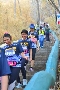 BIB: 7329
                            <button type="button" onclick="openModal(7218181)" class="btn btn-primary btn-sm float-right btn-popup" data-toggle="modal" data-target=".modal-high-quality">
                        <i class="fas fa-shopping-cart"></i> Add to Cart
                    </button>
                                            <button type="button" onclick="isThisMe(7218181, true)" class="btn btn-success btn-sm float-right btn-popup btn-isme hidden" data-toggle="tooltip" data-placement="bottom" title="นี่คือรูปของคุณใช่ไหม คลิกที่นี่เพื่อเอาเข้าอัลบั้ม">
                        <i class="fas fa-plus"></i> Add to album
                    </button>
                    <button type="button" onclick="isThisMe(7218181, false)" class="btn btn-warning btn-sm float-right btn-popup btn-isnotme hidden">
                        <i class="fas fa-ban"></i> Remove from album
                    </button>