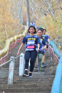 BIB: 7259
                            <button type="button" onclick="openModal(7218092)" class="btn btn-primary btn-sm float-right btn-popup" data-toggle="modal" data-target=".modal-high-quality">
                        <i class="fas fa-shopping-cart"></i> Add to Cart
                    </button>
                                            <button type="button" onclick="isThisMe(7218092, true)" class="btn btn-success btn-sm float-right btn-popup btn-isme hidden" data-toggle="tooltip" data-placement="bottom" title="นี่คือรูปของคุณใช่ไหม คลิกที่นี่เพื่อเอาเข้าอัลบั้ม">
                        <i class="fas fa-plus"></i> Add to album
                    </button>
                    <button type="button" onclick="isThisMe(7218092, false)" class="btn btn-warning btn-sm float-right btn-popup btn-isnotme hidden">
                        <i class="fas fa-ban"></i> Remove from album
                    </button>