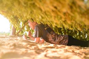 BIB: 
                            <button type="button" onclick="openModal(7162825)" class="btn btn-primary btn-sm float-right btn-popup" data-toggle="modal" data-target=".modal-high-quality">
                        <i class="fas fa-shopping-cart"></i> Add to Cart
                    </button>
                                            <button type="button" onclick="isThisMe(7162825, true)" class="btn btn-success btn-sm float-right btn-popup btn-isme hidden" data-toggle="tooltip" data-placement="bottom" title="นี่คือรูปของคุณใช่ไหม คลิกที่นี่เพื่อเอาเข้าอัลบั้ม">
                        <i class="fas fa-plus"></i> Add to album
                    </button>
                    <button type="button" onclick="isThisMe(7162825, false)" class="btn btn-warning btn-sm float-right btn-popup btn-isnotme hidden">
                        <i class="fas fa-ban"></i> Remove from album
                    </button>