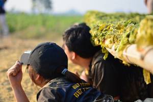 BIB: 
                            <button type="button" onclick="openModal(7162648)" class="btn btn-primary btn-sm float-right btn-popup" data-toggle="modal" data-target=".modal-high-quality">
                        <i class="fas fa-shopping-cart"></i> Add to Cart
                    </button>
                                            <button type="button" onclick="isThisMe(7162648, true)" class="btn btn-success btn-sm float-right btn-popup btn-isme hidden" data-toggle="tooltip" data-placement="bottom" title="นี่คือรูปของคุณใช่ไหม คลิกที่นี่เพื่อเอาเข้าอัลบั้ม">
                        <i class="fas fa-plus"></i> Add to album
                    </button>
                    <button type="button" onclick="isThisMe(7162648, false)" class="btn btn-warning btn-sm float-right btn-popup btn-isnotme hidden">
                        <i class="fas fa-ban"></i> Remove from album
                    </button>