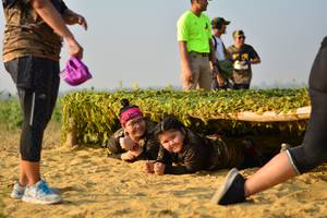 BIB: 
                            <button type="button" onclick="openModal(7162599)" class="btn btn-primary btn-sm float-right btn-popup" data-toggle="modal" data-target=".modal-high-quality">
                        <i class="fas fa-shopping-cart"></i> Add to Cart
                    </button>
                                            <button type="button" onclick="isThisMe(7162599, true)" class="btn btn-success btn-sm float-right btn-popup btn-isme hidden" data-toggle="tooltip" data-placement="bottom" title="นี่คือรูปของคุณใช่ไหม คลิกที่นี่เพื่อเอาเข้าอัลบั้ม">
                        <i class="fas fa-plus"></i> Add to album
                    </button>
                    <button type="button" onclick="isThisMe(7162599, false)" class="btn btn-warning btn-sm float-right btn-popup btn-isnotme hidden">
                        <i class="fas fa-ban"></i> Remove from album
                    </button>