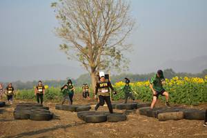 BIB: 
                            <button type="button" onclick="openModal(7161861)" class="btn btn-primary btn-sm float-right btn-popup" data-toggle="modal" data-target=".modal-high-quality">
                        <i class="fas fa-shopping-cart"></i> Add to Cart
                    </button>
                                            <button type="button" onclick="isThisMe(7161861, true)" class="btn btn-success btn-sm float-right btn-popup btn-isme hidden" data-toggle="tooltip" data-placement="bottom" title="นี่คือรูปของคุณใช่ไหม คลิกที่นี่เพื่อเอาเข้าอัลบั้ม">
                        <i class="fas fa-plus"></i> Add to album
                    </button>
                    <button type="button" onclick="isThisMe(7161861, false)" class="btn btn-warning btn-sm float-right btn-popup btn-isnotme hidden">
                        <i class="fas fa-ban"></i> Remove from album
                    </button>