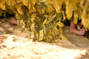 BIB: 
                            <button type="button" onclick="openModal(7162619)" class="btn btn-primary btn-sm float-right btn-popup" data-toggle="modal" data-target=".modal-high-quality">
                        <i class="fas fa-shopping-cart"></i> Add to Cart
                    </button>
                                            <button type="button" onclick="isThisMe(7162619, true)" class="btn btn-success btn-sm float-right btn-popup btn-isme hidden" data-toggle="tooltip" data-placement="bottom" title="นี่คือรูปของคุณใช่ไหม คลิกที่นี่เพื่อเอาเข้าอัลบั้ม">
                        <i class="fas fa-plus"></i> Add to album
                    </button>
                    <button type="button" onclick="isThisMe(7162619, false)" class="btn btn-warning btn-sm float-right btn-popup btn-isnotme hidden">
                        <i class="fas fa-ban"></i> Remove from album
                    </button>