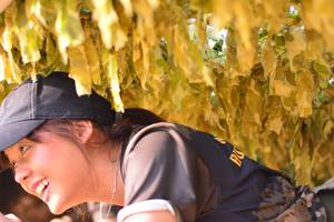 BIB: 
                            <button type="button" onclick="openModal(7162657)" class="btn btn-primary btn-sm float-right btn-popup" data-toggle="modal" data-target=".modal-high-quality">
                        <i class="fas fa-shopping-cart"></i> Add to Cart
                    </button>
                                            <button type="button" onclick="isThisMe(7162657, true)" class="btn btn-success btn-sm float-right btn-popup btn-isme hidden" data-toggle="tooltip" data-placement="bottom" title="นี่คือรูปของคุณใช่ไหม คลิกที่นี่เพื่อเอาเข้าอัลบั้ม">
                        <i class="fas fa-plus"></i> Add to album
                    </button>
                    <button type="button" onclick="isThisMe(7162657, false)" class="btn btn-warning btn-sm float-right btn-popup btn-isnotme hidden">
                        <i class="fas fa-ban"></i> Remove from album
                    </button>