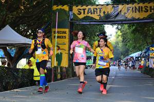 BIB: 293
                            <button type="button" onclick="openModal(7169002)" class="btn btn-primary btn-sm float-right btn-popup" data-toggle="modal" data-target=".modal-high-quality">
                        <i class="fas fa-shopping-cart"></i> Add to Cart
                    </button>
                                            <button type="button" onclick="isThisMe(7169002, true)" class="btn btn-success btn-sm float-right btn-popup btn-isme hidden" data-toggle="tooltip" data-placement="bottom" title="นี่คือรูปของคุณใช่ไหม คลิกที่นี่เพื่อเอาเข้าอัลบั้ม">
                        <i class="fas fa-plus"></i> Add to album
                    </button>
                    <button type="button" onclick="isThisMe(7169002, false)" class="btn btn-warning btn-sm float-right btn-popup btn-isnotme hidden">
                        <i class="fas fa-ban"></i> Remove from album
                    </button>