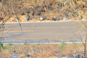 BIB: 
                            <button type="button" onclick="openModal(7177783)" class="btn btn-primary btn-sm float-right btn-popup" data-toggle="modal" data-target=".modal-high-quality">
                        <i class="fas fa-shopping-cart"></i> Add to Cart
                    </button>
                                            <button type="button" onclick="isThisMe(7177783, true)" class="btn btn-success btn-sm float-right btn-popup btn-isme hidden" data-toggle="tooltip" data-placement="bottom" title="นี่คือรูปของคุณใช่ไหม คลิกที่นี่เพื่อเอาเข้าอัลบั้ม">
                        <i class="fas fa-plus"></i> Add to album
                    </button>
                    <button type="button" onclick="isThisMe(7177783, false)" class="btn btn-warning btn-sm float-right btn-popup btn-isnotme hidden">
                        <i class="fas fa-ban"></i> Remove from album
                    </button>