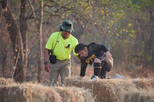 BIB: 
                            <button type="button" onclick="openModal(7238817)" class="btn btn-primary btn-sm float-right btn-popup" data-toggle="modal" data-target=".modal-high-quality">
                        <i class="fas fa-shopping-cart"></i> Add to Cart
                    </button>
                                            <button type="button" onclick="isThisMe(7238817, true)" class="btn btn-success btn-sm float-right btn-popup btn-isme hidden" data-toggle="tooltip" data-placement="bottom" title="นี่คือรูปของคุณใช่ไหม คลิกที่นี่เพื่อเอาเข้าอัลบั้ม">
                        <i class="fas fa-plus"></i> Add to album
                    </button>
                    <button type="button" onclick="isThisMe(7238817, false)" class="btn btn-warning btn-sm float-right btn-popup btn-isnotme hidden">
                        <i class="fas fa-ban"></i> Remove from album
                    </button>