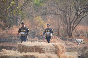 BIB: 
                            <button type="button" onclick="openModal(7238828)" class="btn btn-primary btn-sm float-right btn-popup" data-toggle="modal" data-target=".modal-high-quality">
                        <i class="fas fa-shopping-cart"></i> Add to Cart
                    </button>
                                            <button type="button" onclick="isThisMe(7238828, true)" class="btn btn-success btn-sm float-right btn-popup btn-isme hidden" data-toggle="tooltip" data-placement="bottom" title="นี่คือรูปของคุณใช่ไหม คลิกที่นี่เพื่อเอาเข้าอัลบั้ม">
                        <i class="fas fa-plus"></i> Add to album
                    </button>
                    <button type="button" onclick="isThisMe(7238828, false)" class="btn btn-warning btn-sm float-right btn-popup btn-isnotme hidden">
                        <i class="fas fa-ban"></i> Remove from album
                    </button>