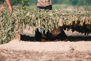 BIB: 
                            <button type="button" onclick="openModal(7258302)" class="btn btn-primary btn-sm float-right btn-popup" data-toggle="modal" data-target=".modal-high-quality">
                        <i class="fas fa-shopping-cart"></i> Add to Cart
                    </button>
                                            <button type="button" onclick="isThisMe(7258302, true)" class="btn btn-success btn-sm float-right btn-popup btn-isme hidden" data-toggle="tooltip" data-placement="bottom" title="นี่คือรูปของคุณใช่ไหม คลิกที่นี่เพื่อเอาเข้าอัลบั้ม">
                        <i class="fas fa-plus"></i> Add to album
                    </button>
                    <button type="button" onclick="isThisMe(7258302, false)" class="btn btn-warning btn-sm float-right btn-popup btn-isnotme hidden">
                        <i class="fas fa-ban"></i> Remove from album
                    </button>