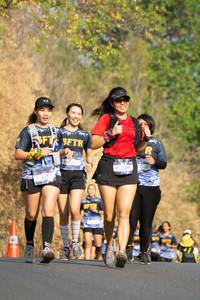 BIB: 709
                            <button type="button" onclick="openModal(7258352)" class="btn btn-primary btn-sm float-right btn-popup" data-toggle="modal" data-target=".modal-high-quality">
                        <i class="fas fa-shopping-cart"></i> Add to Cart
                    </button>
                                            <button type="button" onclick="isThisMe(7258352, true)" class="btn btn-success btn-sm float-right btn-popup btn-isme hidden" data-toggle="tooltip" data-placement="bottom" title="นี่คือรูปของคุณใช่ไหม คลิกที่นี่เพื่อเอาเข้าอัลบั้ม">
                        <i class="fas fa-plus"></i> Add to album
                    </button>
                    <button type="button" onclick="isThisMe(7258352, false)" class="btn btn-warning btn-sm float-right btn-popup btn-isnotme hidden">
                        <i class="fas fa-ban"></i> Remove from album
                    </button>